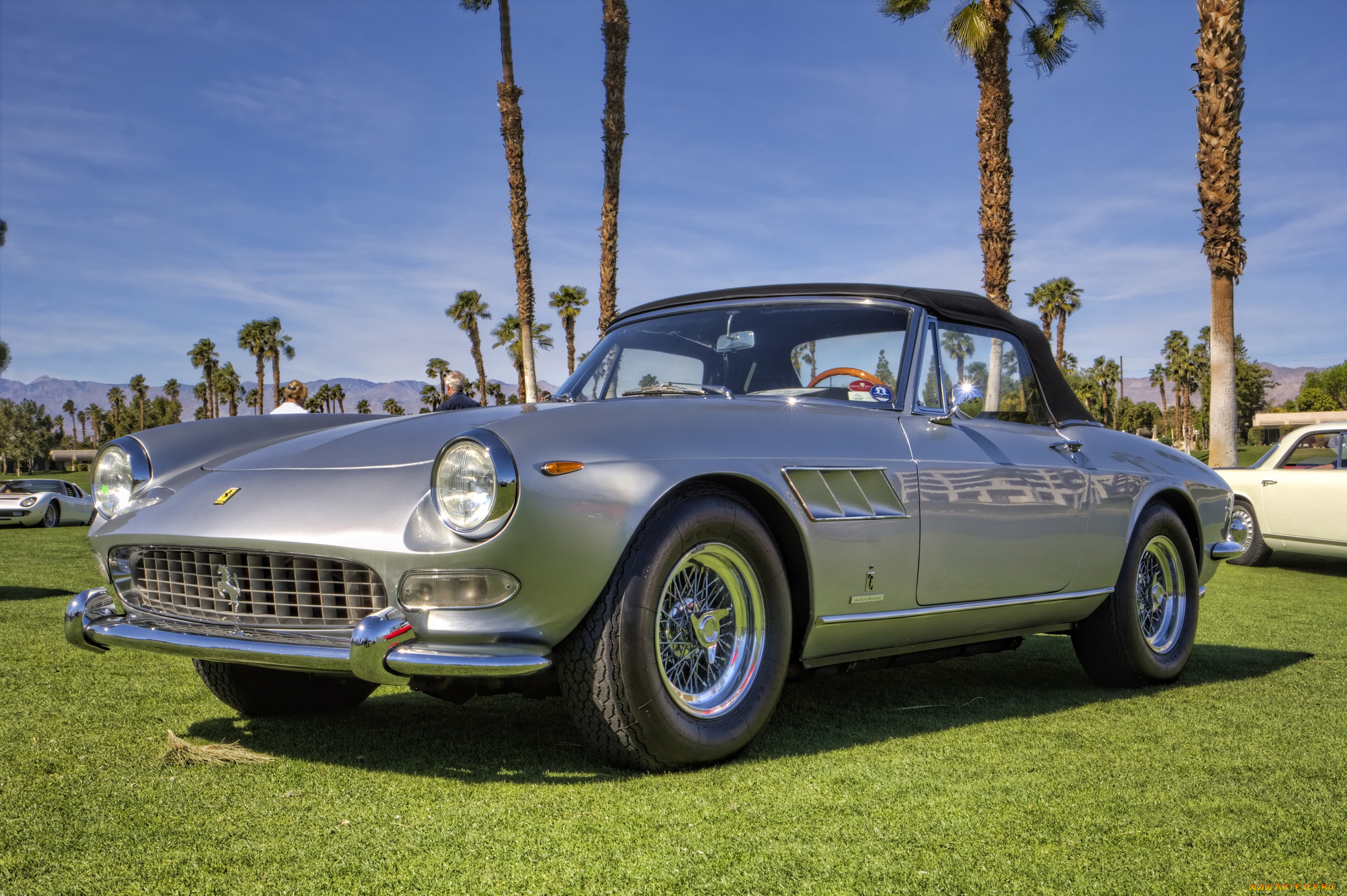ferrari 275 gt spider, ,    , , 